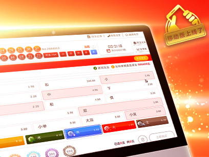 196体育中国乐透